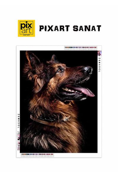 pixartsanat Brown Hunter Dog 40X60 Pixart Art Diamond Mosaic Painting Diamond Turkey