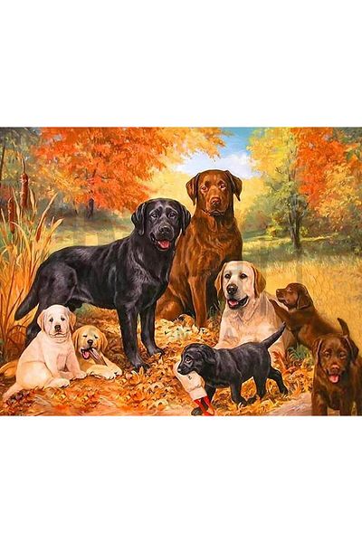 pixartsanat Dog 30*40cm Pixart Art Diamond Mosaic Painting Diamond Turkey