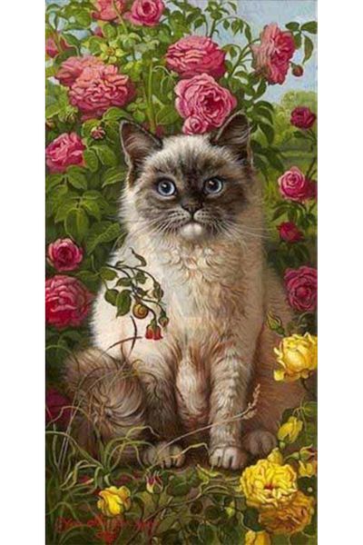 pixartsanat Beautiful Cat in the Garden Pixart Art Diamond Mosaic Painting Daimond Turkey 32*66