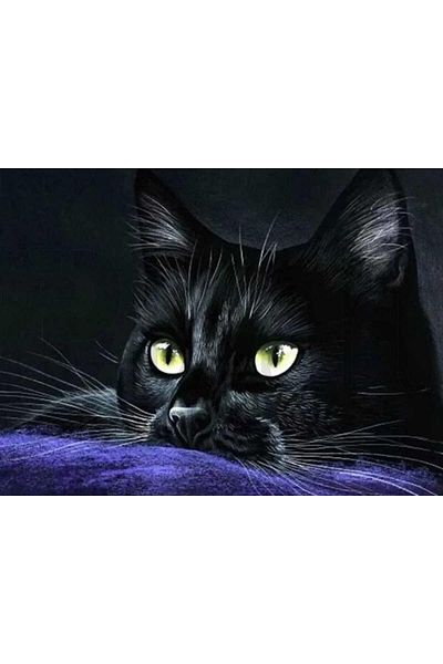 pixartsanat Black Cat 50X35 Pixart Art Diamond Mosaic Painting Diamond Turkey