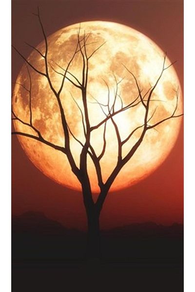 pixartsanat Full Moon Painted with Daughter Pixart Art Diamond Mosaic Painting Diamond Turkey 36*58