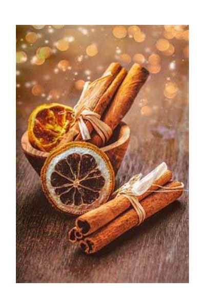 pixartsanat Orange Slices And Cinnamon Shells Pixart Art Diamond Mosaic Painting Diamond Turkey 25*38