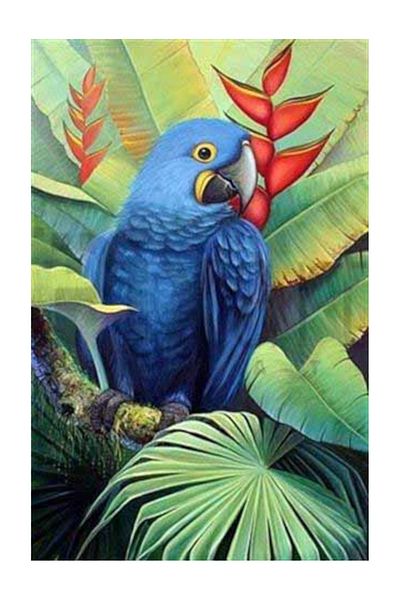 pixartsanat Blue Parrot between the Leaves Pixart Art Diamond Mosaic Painting Daimond Turkey 35*53