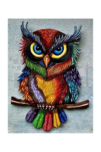 pixartsanat Colorful Angry Owl Pixart Art Diamond Mosaic Painting Diamond Türkiye 43*55