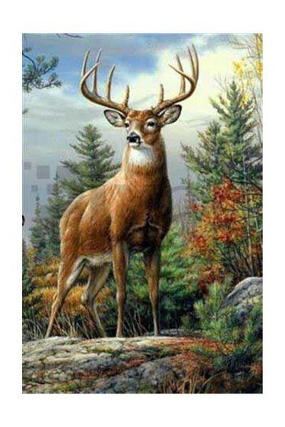 pixartsanat Pixart Art Deer Patterned Diamond Mosaic Painting - Daimond Türkiye 37*57