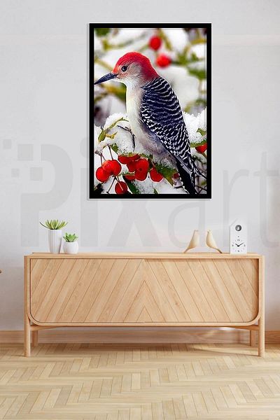 pixartsanat Christmas Bird 30*40cm Pixart Art Diamond Mosaic Painting Diamond Turkey