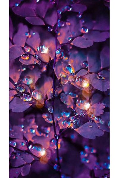 pixartsanat Purple Leaf Pattern Pixart Art Diamond Mosaic Painting Diamond Türkiye 40*60