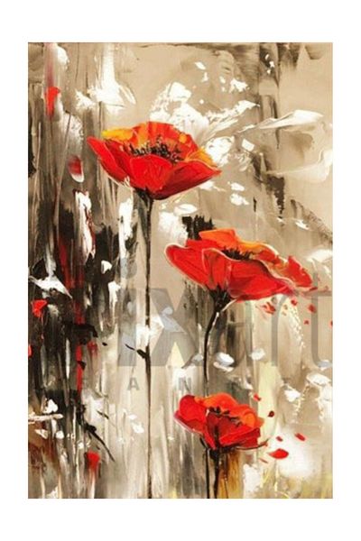 pixartsanat Oil Paint Poppy Pixart Art Diamond Mosaic Painting Diamond Türkiye 40*60
