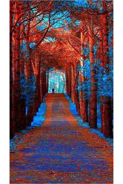 pixartsanat Blue Light Forest Pixart Art Diamond Mosaic Painting Diamond Turkey 32*57