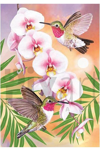 pixartsanat Hummingbird Flowers 30*40cm Pixart Art Diamond Mosaic Painting Diamond Turkey
