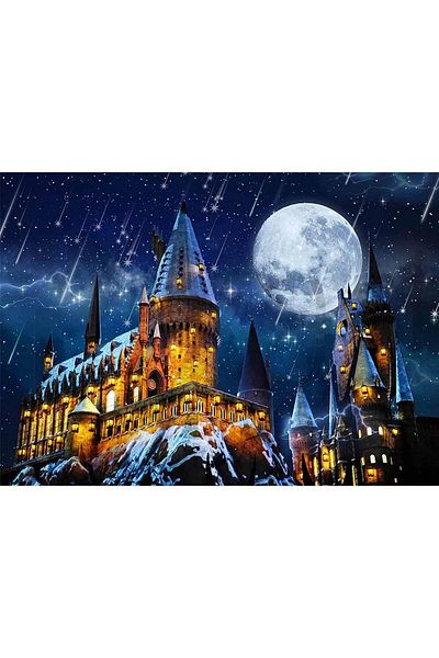 pixartsanat Harry Potter 30*40 PixArt Art Diamond Mosaic Painting for Beginners Diamond Turkey