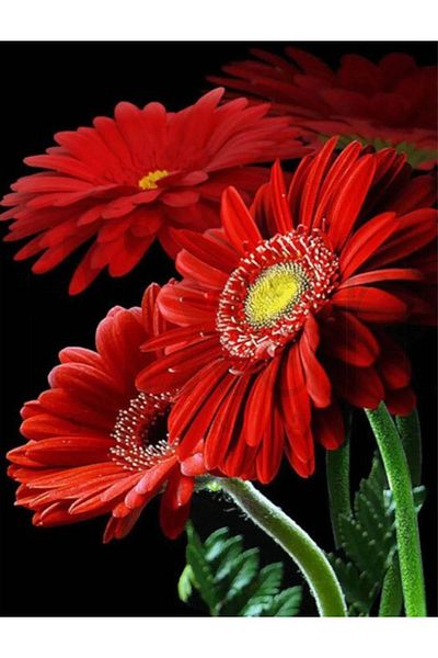 pixartsanat Red Flower 40x60 PixArt Art Diamond Mosaic Painting Diamond Turkey