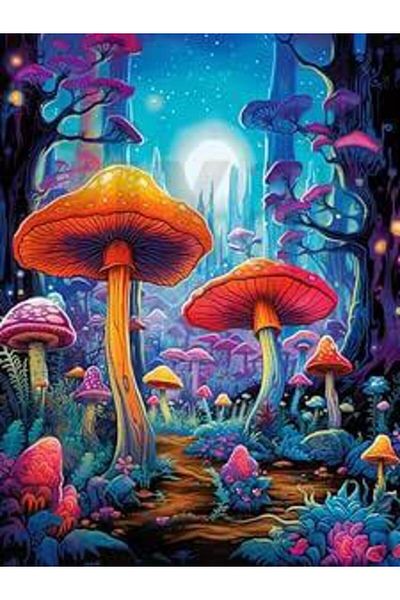 pixartsanat Mushroom Forest 30x40 PixArt Art Diamond Mosaic Painting Diamond Turkey
