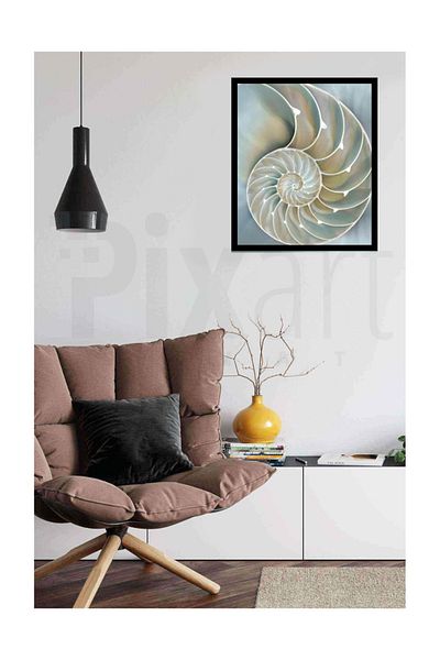 pixartsanat Seashell Pixart Art Diamond Mosaic Painting Diamond Turkey 48*58