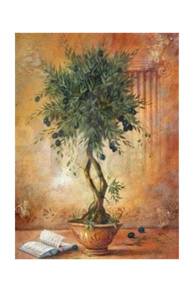 pixartsanat Tiny Olive Tree Pixart Art Diamond Mosaic Painting Diamond Turkey 55*78