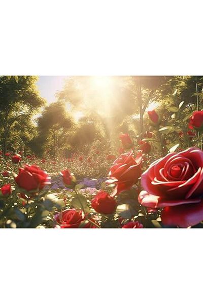 pixartsanat Rose Garden 30x40 PixArt Art Diamond Mosaic Painting Diamond Turkey