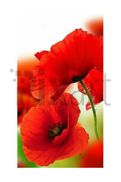 pixartsanat A Pair of Red Poppy Pixart Art Diamond Mosaic Painting Diamond Turkey 46*76