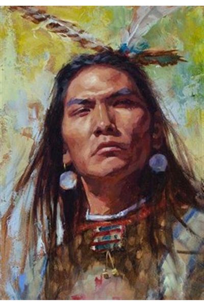 pixartsanat Native American Man Pixart Art Diamond Mosaic Painting Diamond Türkiye 40*68