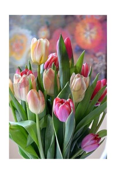 pixartsanat Tulip Goncaları Pixart Art Diamond Mosaic Painting Diamond Turkey 42*62