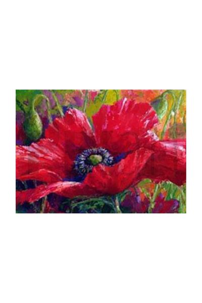 pixartsanat Poppy Drawing Pixart Art Diamond Mosaic Painting Diamond Turkey 71*53