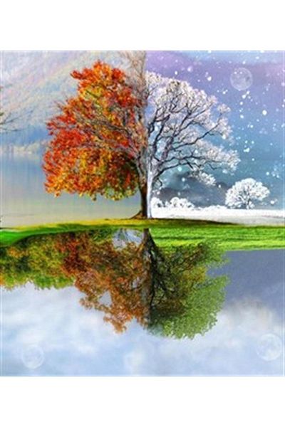 pixartsanat Transition from Autumn to Winter Pixart Art Diamond Mosaic Painting Diamond Turkey 55*63