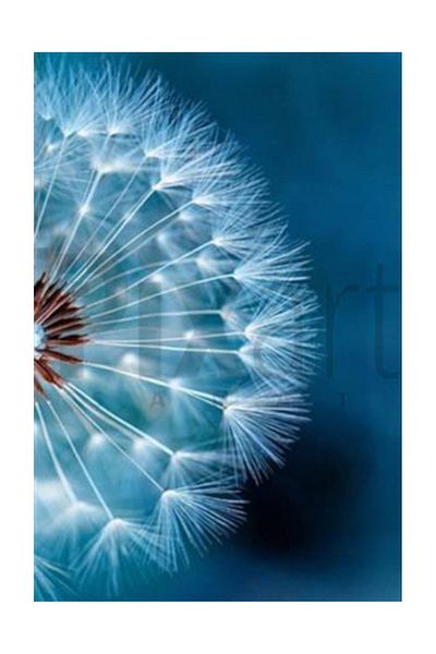 pixartsanat Glittering Dandelion Pixart Art Diamond Mosaic Painting Diamond Türkiye 48*68