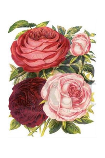 pixartsanat Three Different Roses Pixart Art Diamond Mosaic Painting Diamond Turkey 35*45