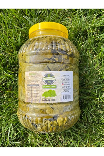 Kg Kurutulmuş Gıda Salamura Yaprak ( 1 Bidon )