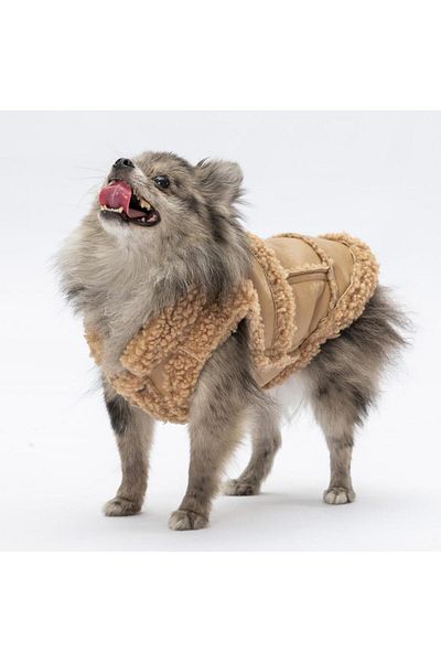 Pawstar Beige Churchill Vest Dog Vest Dog Outfit Dog Raincoat