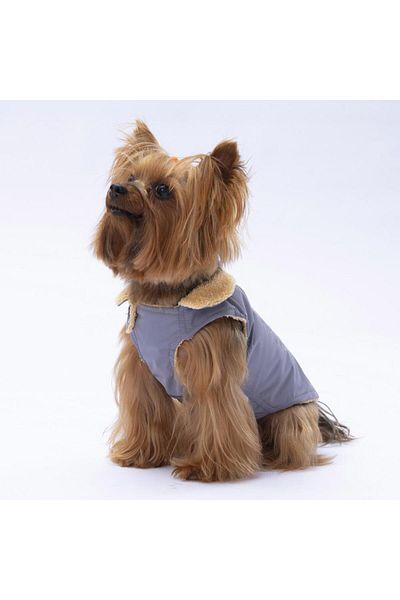 Pawstar Gray Yukon Vest Dog Vest Dog Outfit Dog Raincoat
