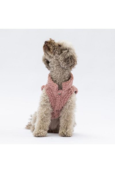 Pawstar Rose Churchill Vest Dog Vest Dog Apparel Dog Raincoat