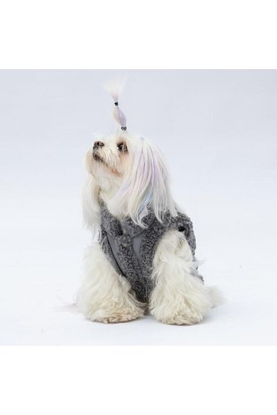 Pawstar Gray Churchill Vest Dog Vest Dog Apparel Dog Raincoat