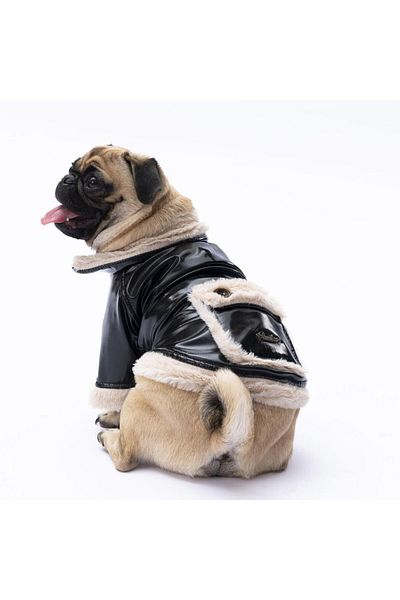 Pawstar Black Vegas Jacket Cat Dog Jacket Cat Dog Outfit Cat Dog Dress