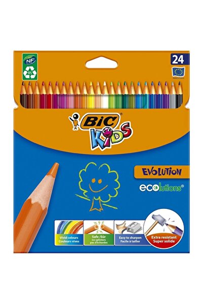 Bic طلاء إيفولوشن الجاف 24 لتر