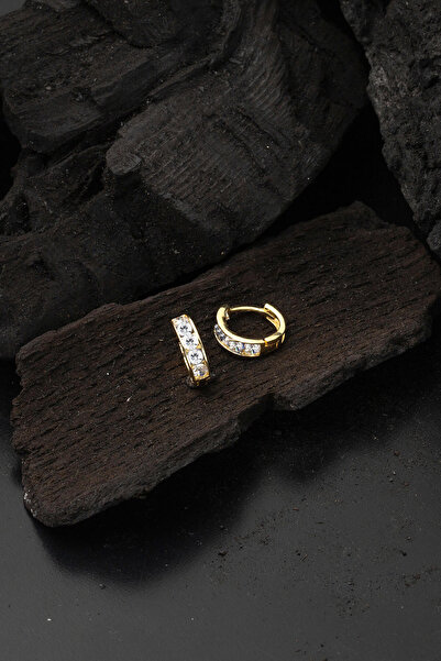 Bilezikci Sıra Taşlı Altın Halka Bebek Küpesi