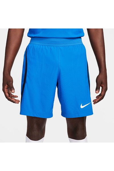 Nike M NK DFADV VAPOR IV SHORT K