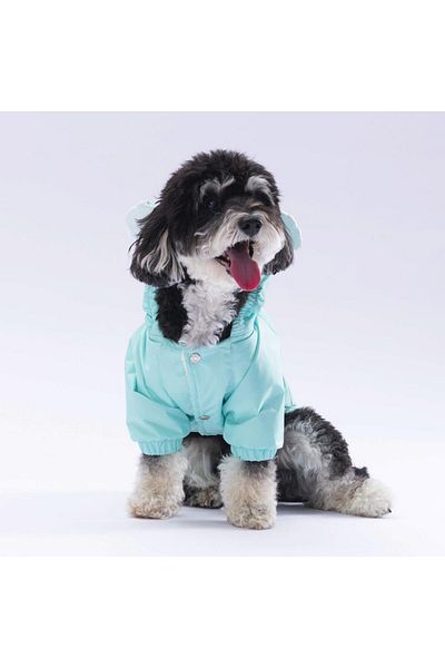 Pawstar Mint Sydney - Dog Coat, Raincoat and Outfit Dress