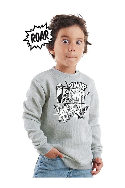 Denokids Graues Melange Rawr Dino-Sweatshirt für Jungen