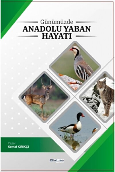 Atlas Akademi Günümüzde Anadolu Yaban Hayatı
