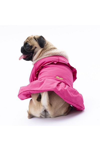 Pawstar Fuchsia Elizabeth Dog Coat Dog Raincoat Dog Outfit Dog Dress