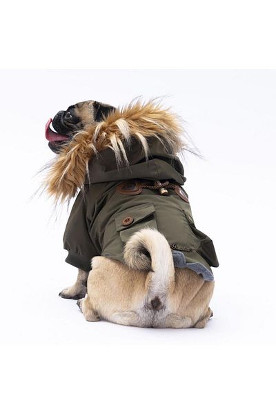 Pawstar Khaki Charles Dog Coat Dog Raincoat Dog Outfit Dog Dress