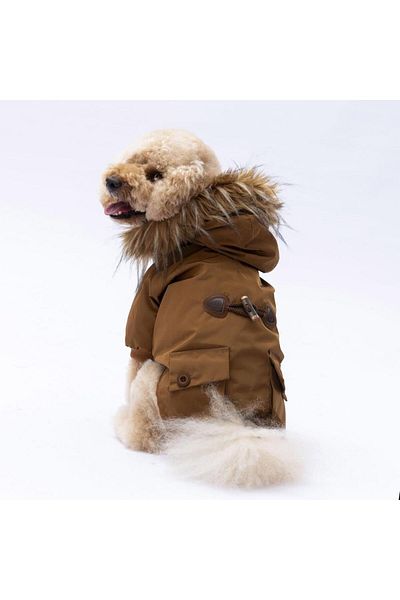 Pawstar Camel Charles Dog Coat Dog Raincoat Dog Outfit Dog Dress
