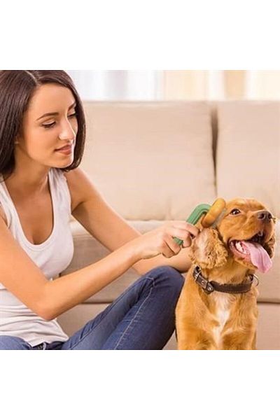 AlbiShoes White Plastic Pet Brush - Multi-Purpose Pet Care