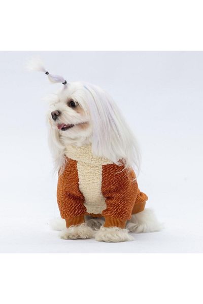 Pawstar Tile Alaska Cat Dog Sweat - Cat Dog Outfit