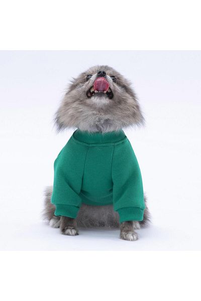 Pawstar Green Chongqing Cat Dog Sweat- Cat Dog Outfit