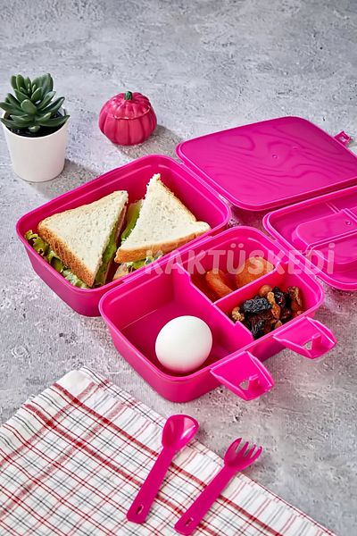 KaktüsKedi 4 Compartment Children's Lunch Box - Lunch Box