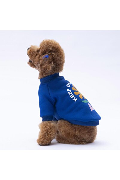 Pawstar Sax Mavi Lahti Kedi Köpek Sweat- Kedi Köpek Kıyafeti