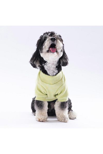 Pawstar Yellow Merino Cat Dog Sweat - Cat Dog Outfit