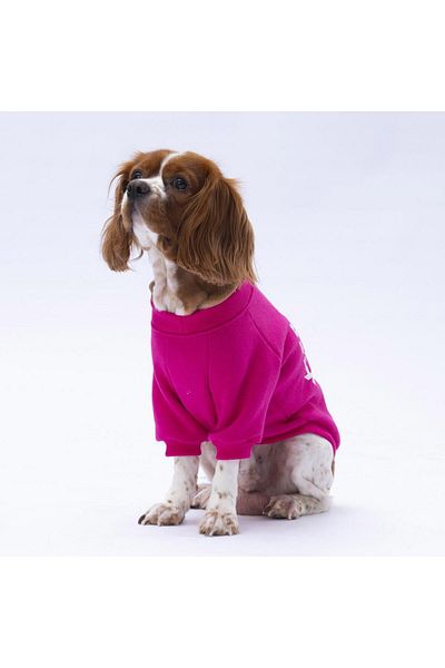 Pawstar Pink Lahti Cat Dog Sweat - Cat Dog Outfit