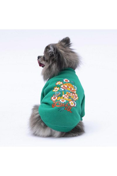 Pawstar Green Chongqing Cat Dog Sweat- Cat Dog Outfit